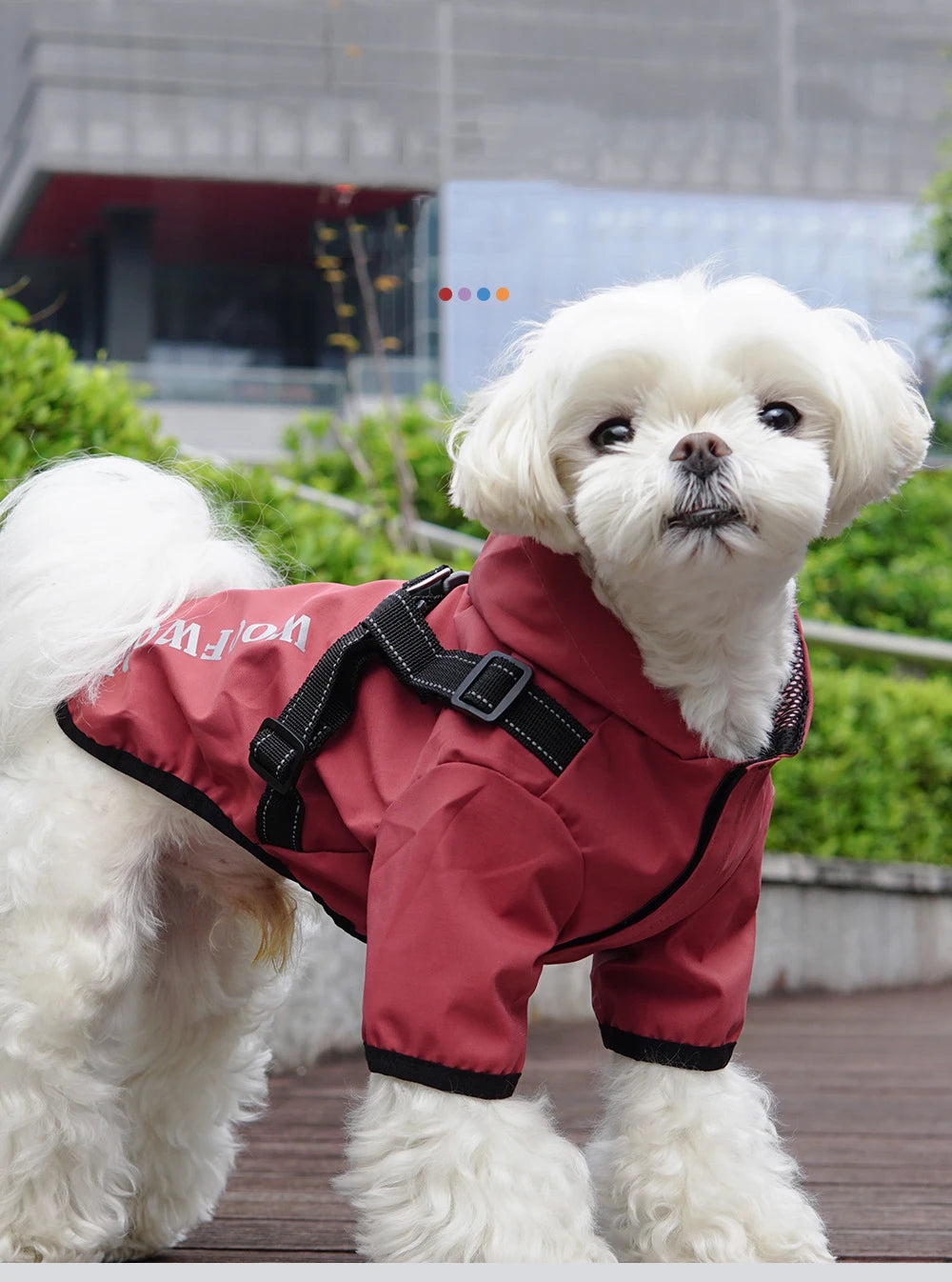 Chubasquero para perros con arnés, chaqueta impermeable con forro de malla transpirable para perros pequeños, ropa reflectante con capucha para cachorros, Chihuahua