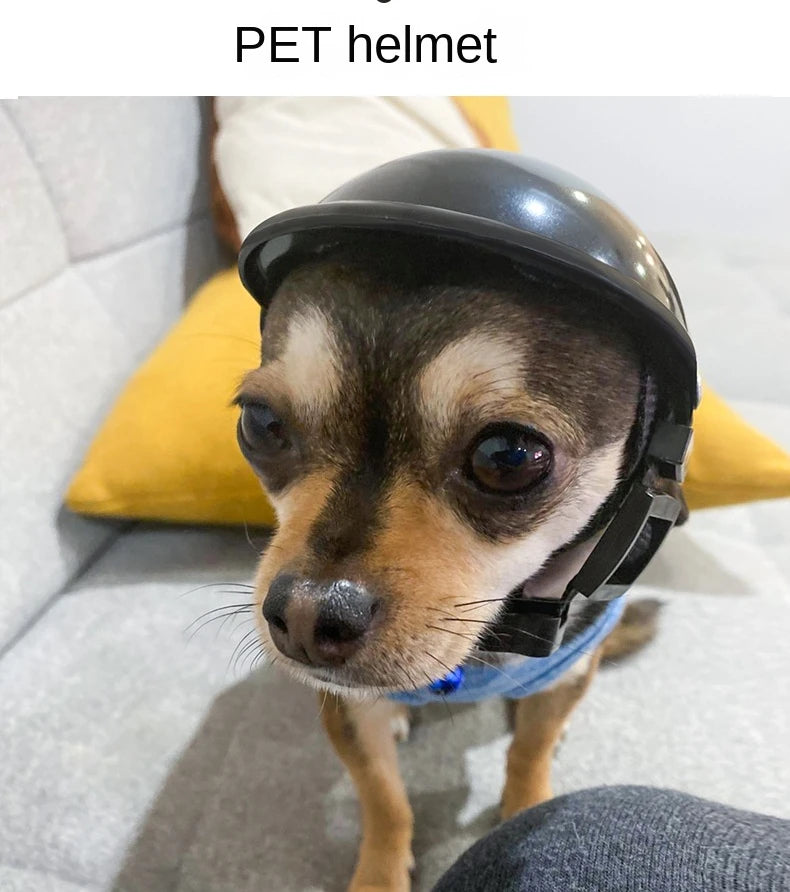 Casco de motocicleta para perros y gatos pequeños, sombrero para mascotas de estilo moderno, tocados, accesorios para perros, nuevo