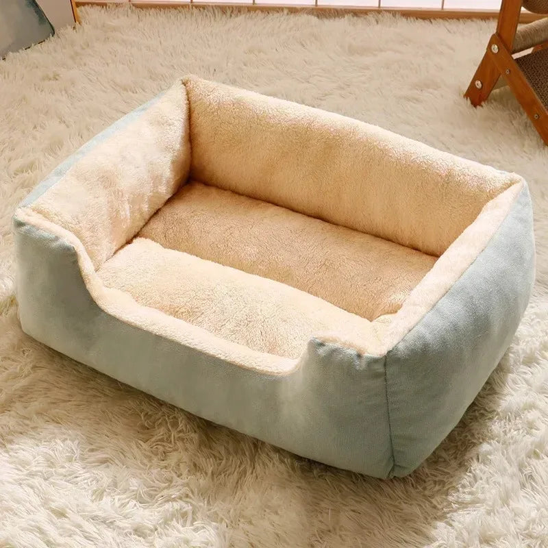 Bed for Cats Pet Products Goods Accessories Dog All Houses Supplies Cushions Kitten Things Accessory Habitats Basket House Beds