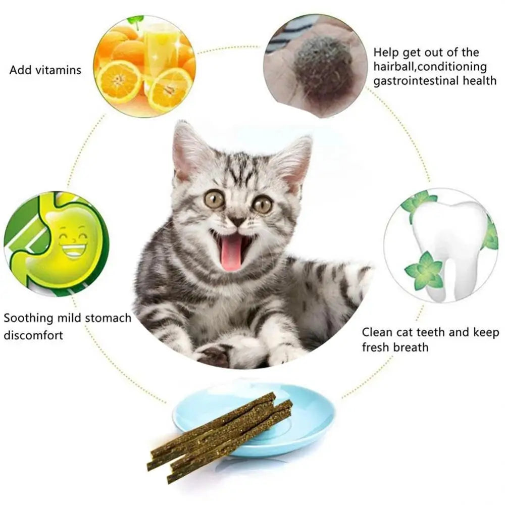 Bâtonnets de chat Matatabi naturels, 6 pièces, morsure de menthe, tiges excitées, vigne argentée pour le nettoyage des dents de chat, traitement, fournitures pour animaux de compagnie, jouets pour chats