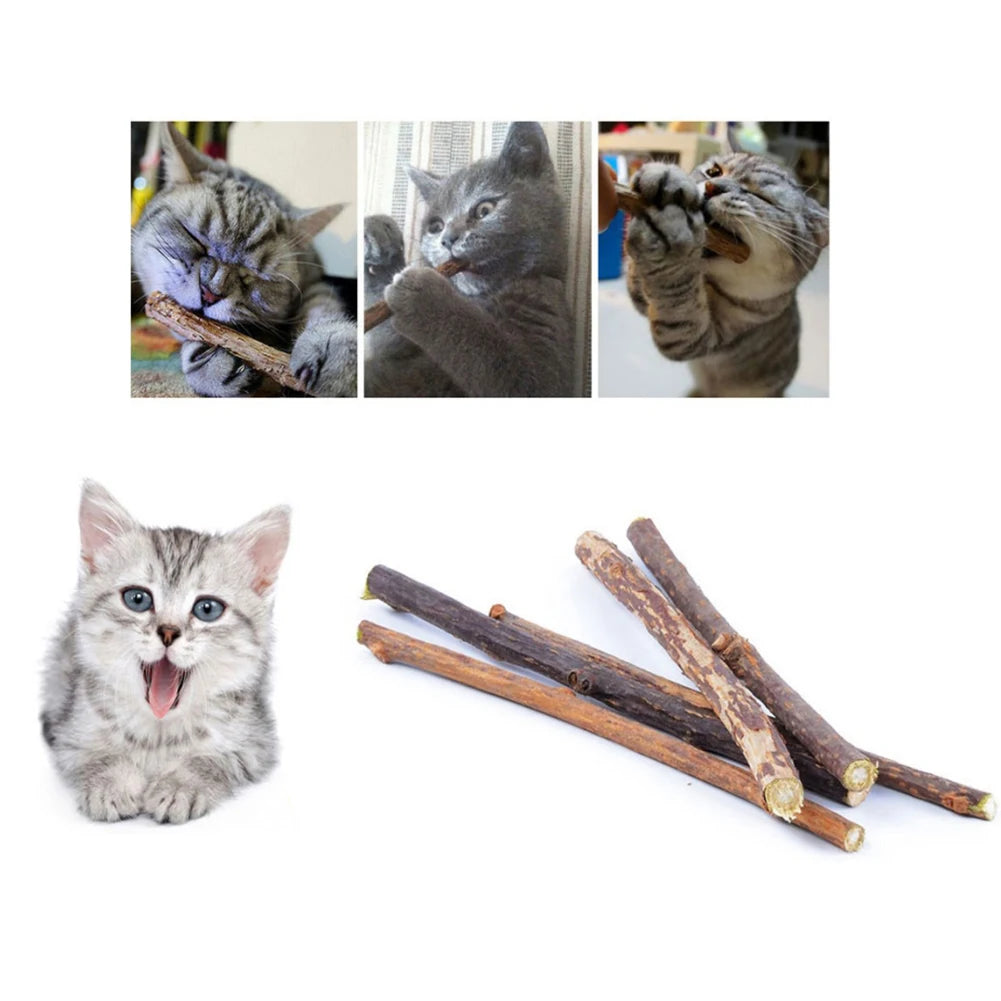 Silvervine Sticks para gatos Natural Catnip Chew Sticks Dientes Molar Masticar Juguetes para Gato Gatito Regalos