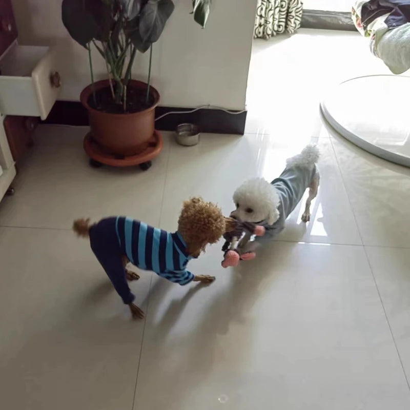 Divertido perro de peluche, burro de juguete con sonido, juguetes chirriantes, resistente a masticar, entrenamiento, perro, cachorro, gato, mascotas interactivas