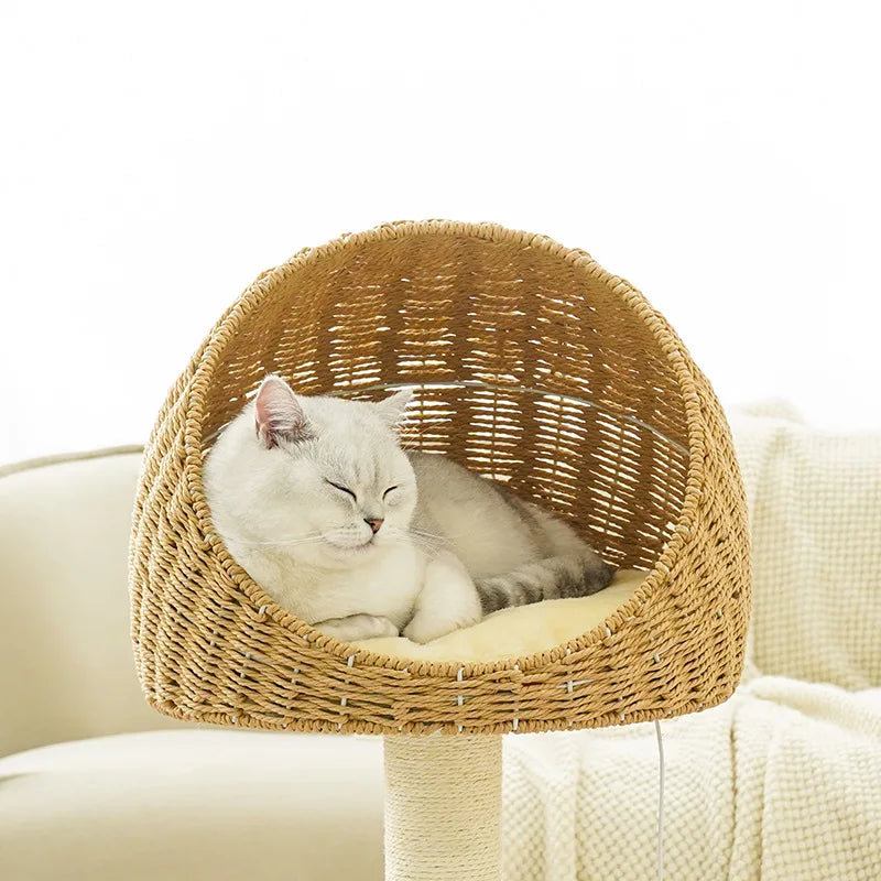 Árbol de escalada para rascar gatos, casa tejida de mimbre, trinquete de molienda para mascotas, poste rascador de Sisal, marco rascador para gatos, cama tipo nido, Juguetes