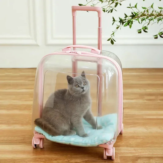 Mochila transparente para mascotas, bolsa para gatos, cápsula portátil, bolsa para mascotas