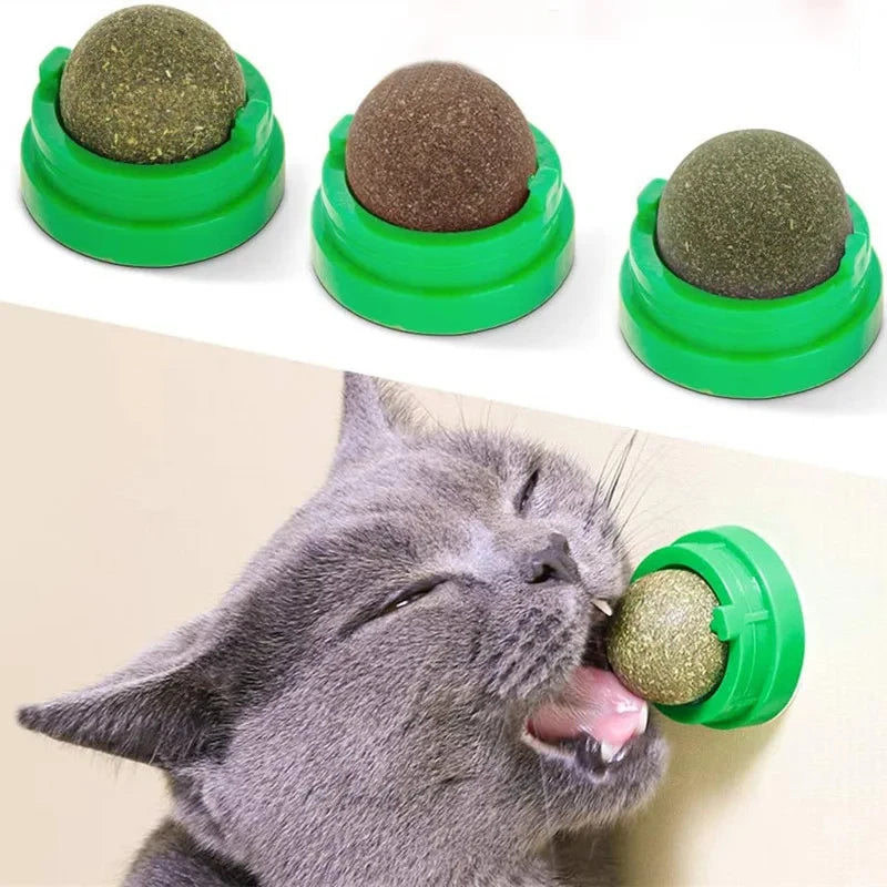 Rascadores de juguete con bola adhesiva para pared de gato, hierba gatera Natural, elimina bolas naturales saludables para promover la digestión, merienda de hierba para gato