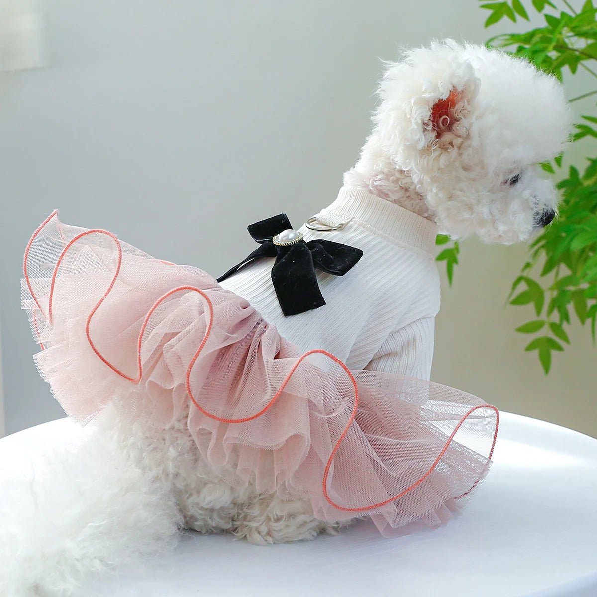 Vêtements pour animaux de compagnie, 1 pièce, robe de princesse Appa pour chien, jupe moelleuse rose avec boucle pour corde de remorquage, pour petits et moyens chiens, printemps-automne