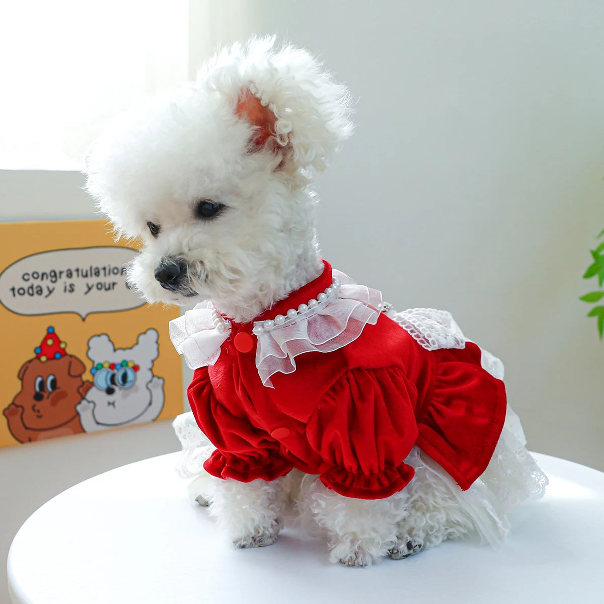 1PC Pet Apparel Dog Spring and Autumn Velvet Wedding Dress Red Princess Dress with Drawstring Buckle For Small Medium Dogs