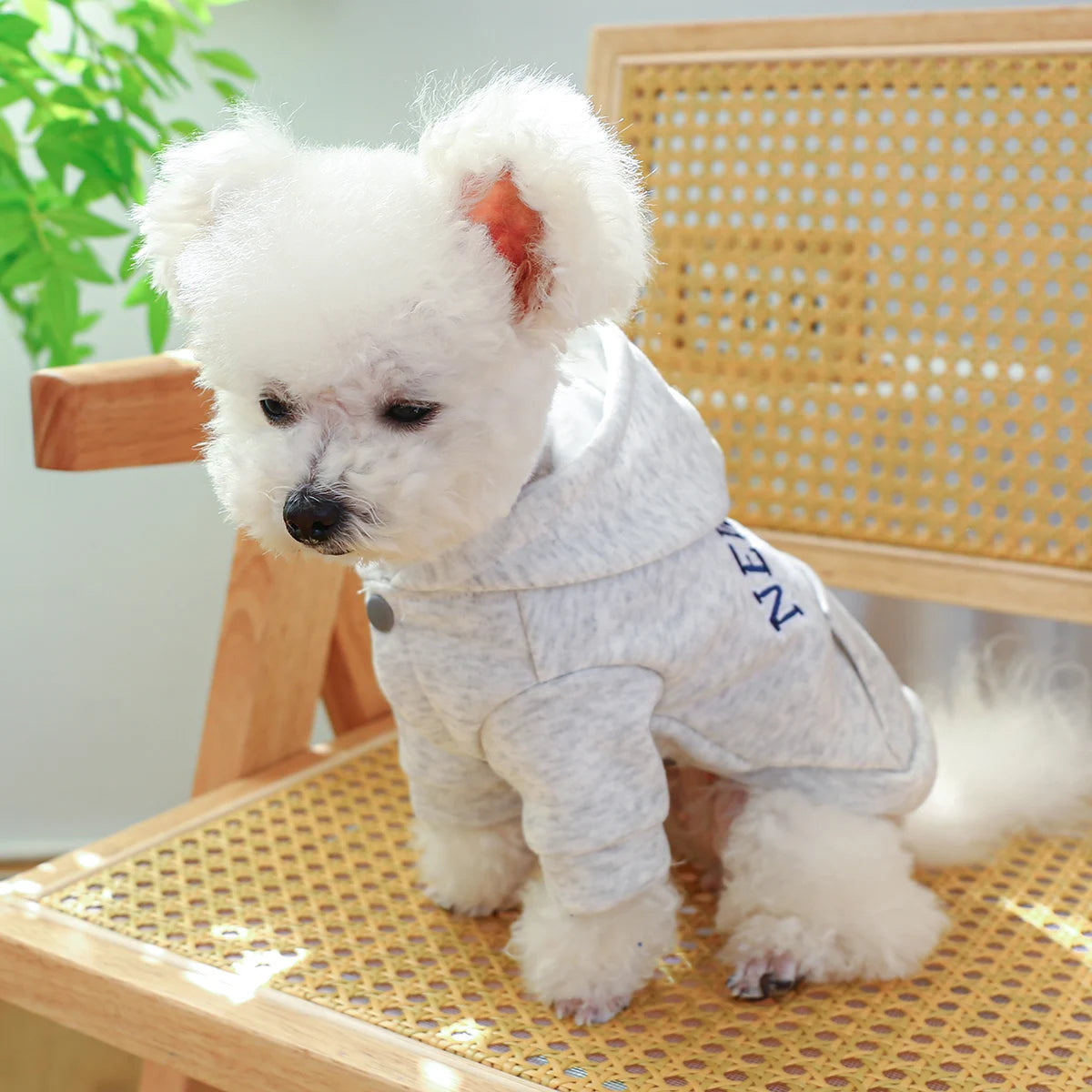 Vêtements pour animaux de compagnie, 1 pièce, printemps et automne, New York, poche, gris, manteau à capuche décontracté avec boucle à cordon pour petits et moyens chiens