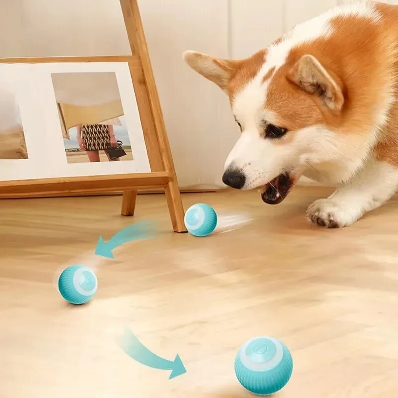 Nuevos juguetes para Perro inteligente, bola rodante automática, juguetes eléctricos para perros pequeños, divertidos juegos para cachorros con movimiento automático, juguetes interactivos para interiores para mascotas