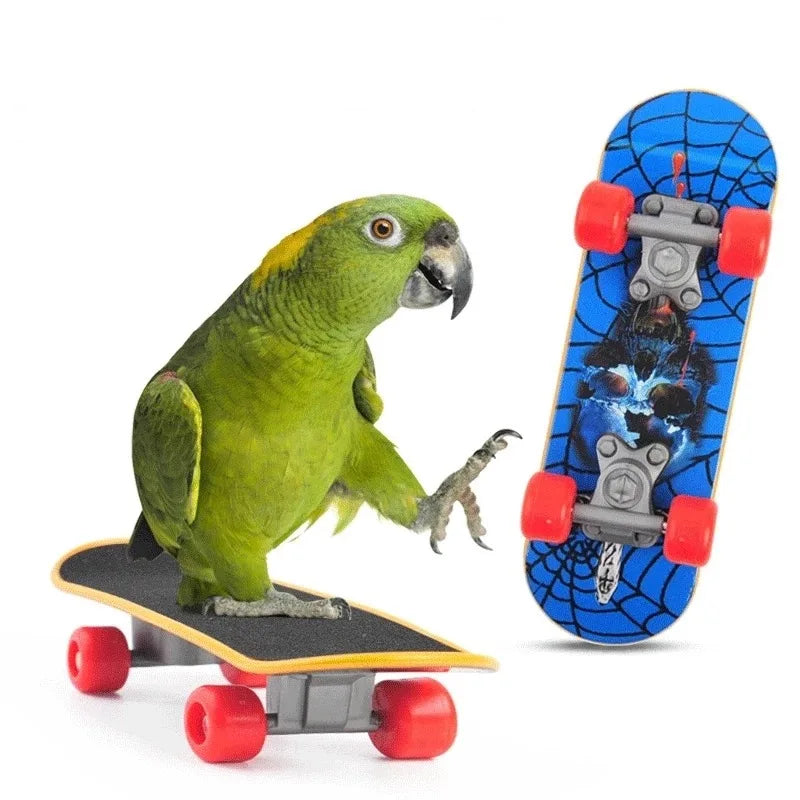 Bird Training Toy Supplies Basketball Stand Lovebird Shopping Cart Bird Toy Shoes Canary Skateboard Parrot Toy Accessories