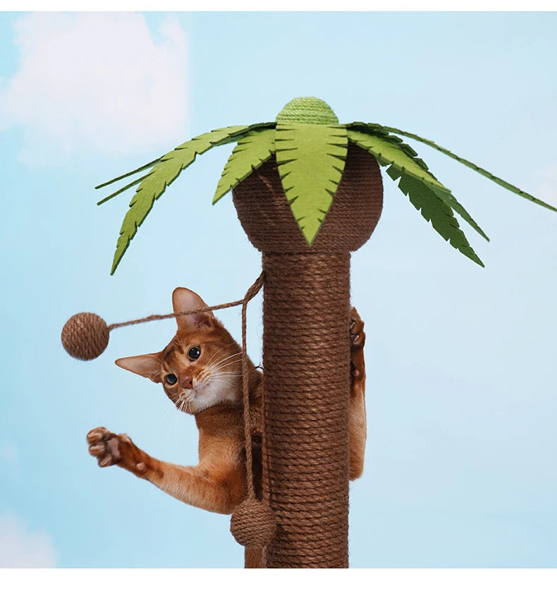 Postes rascadores para gatos, marco de escalada con forma del árbol de coco, tablero rascador para gatos de cáñamo y Sisal con bola, juguetes con forma de garras para mascotas