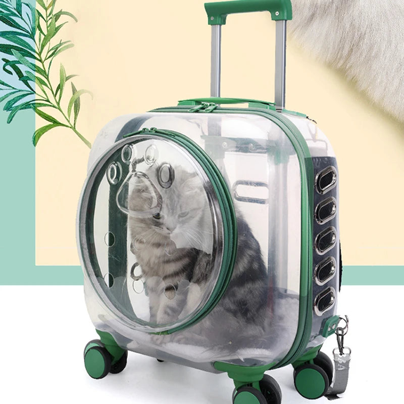 Valise à roulettes pour chien et chat, valise transparente, sac à dos respirant pour animal de compagnie, poussette