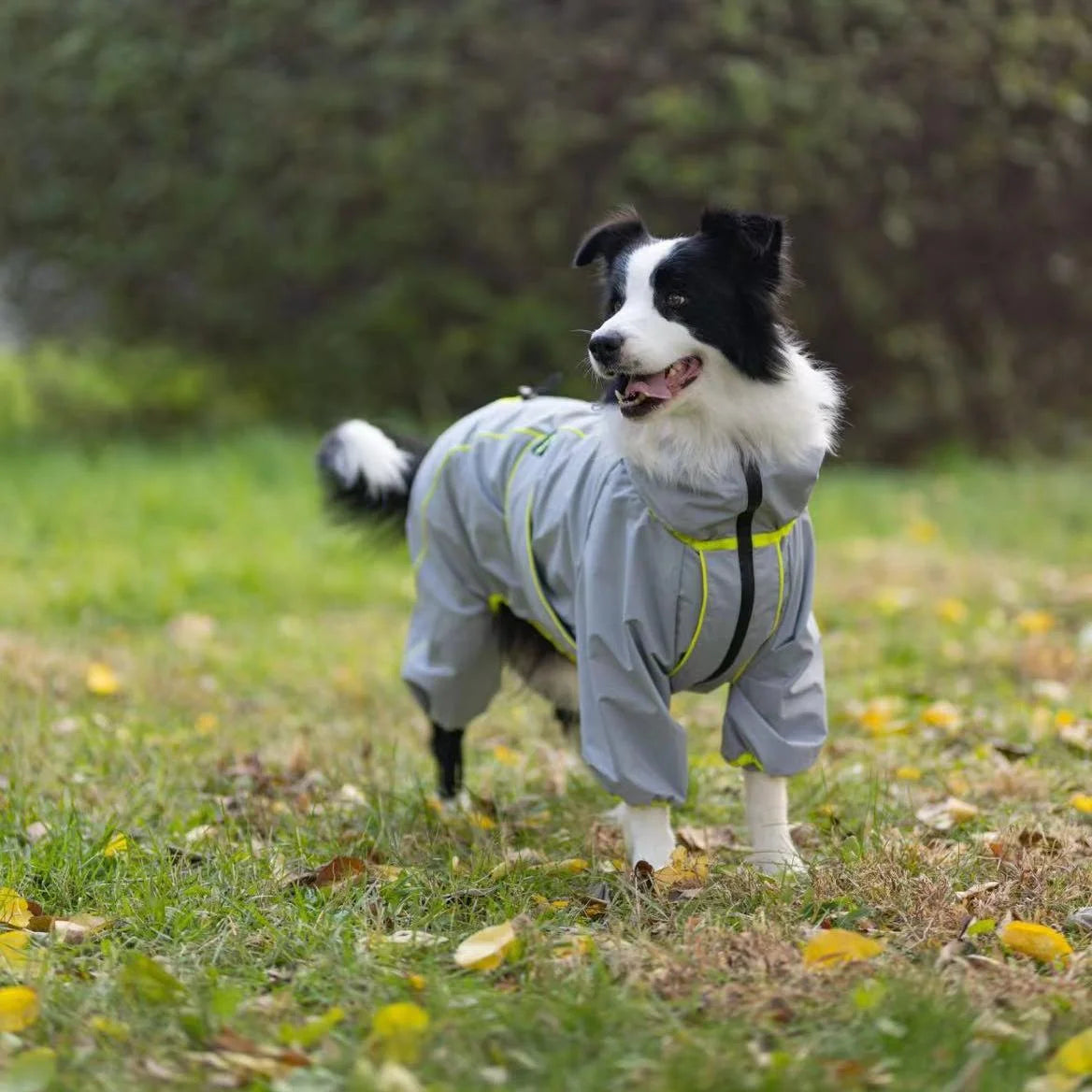 Chubasquero para perros grandes, suave, transpirable, a prueba de nieve, resistente al viento, chaqueta de lluvia para mascotas, abrigo impermeable de seguridad para perros al aire libre con patas