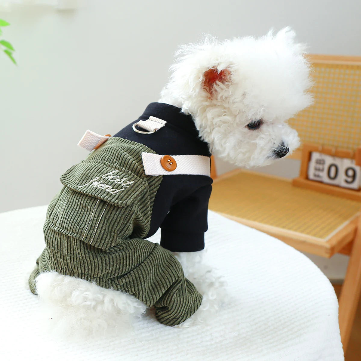 Vêtements pour animaux de compagnie, 1 pièce, printemps et automne, vert armée, meilleur ami, pantalon à quatre pattes avec boucle à cordon pour petit et moyen chien