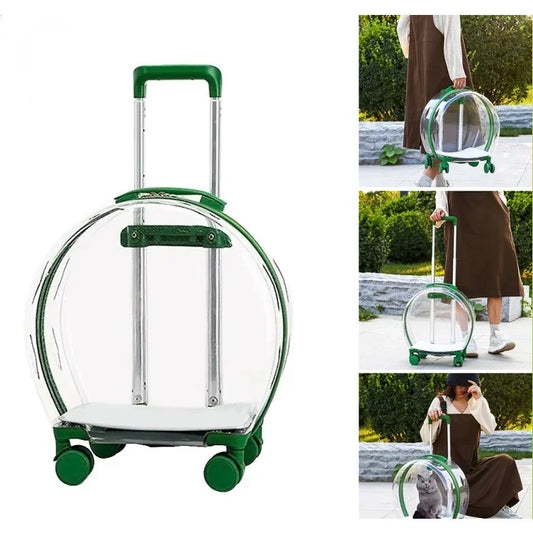 Transporteur de boîtier de chariot pour animaux de compagnie pour chats et chiots sac de chat Transparent poussette pour animaux de compagnie en plein air Portable chat sac à dos transporteur personnalisable