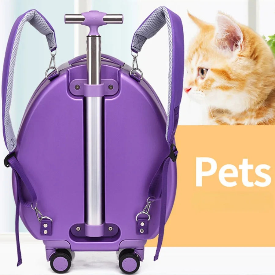 Capsule spatiale pour chats, sac à bandoulière Transparent, valise de sortie, porte-chat, poussette Kawaii, Mochila Para Perro, accessoires pour animaux de compagnie