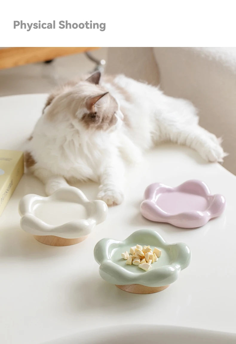 Bol en céramique pour chat, petit animal de compagnie, mangeoires surélevées pour nourriture et eau, chiot, chien, assiette à boire avec support en bois