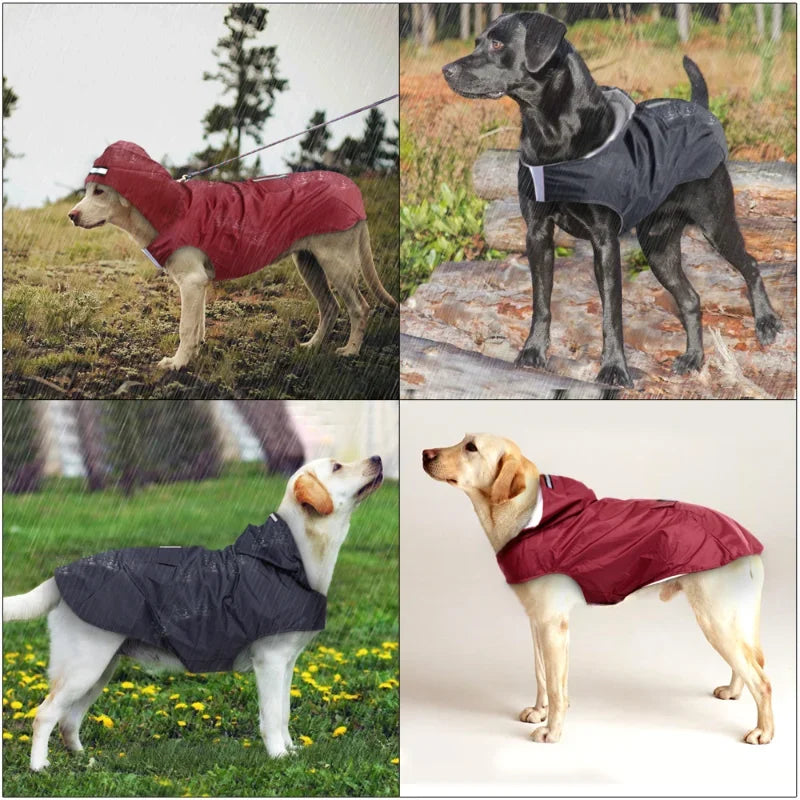 Manteau imperméable pour chien, veste à capuche imperméable, Poncho de pluie, vêtements de pluie pour animaux de compagnie avec rayures réfléchissantes, accessoires d'extérieur pour chiens