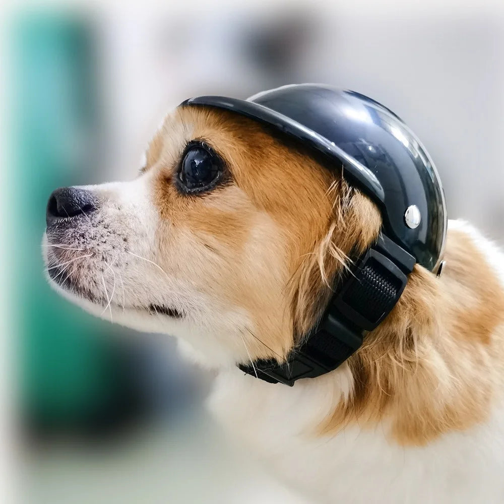 Casco de motocicleta para perros y gatos pequeños, sombrero para mascotas de estilo moderno, tocados, accesorios para perros, nuevo