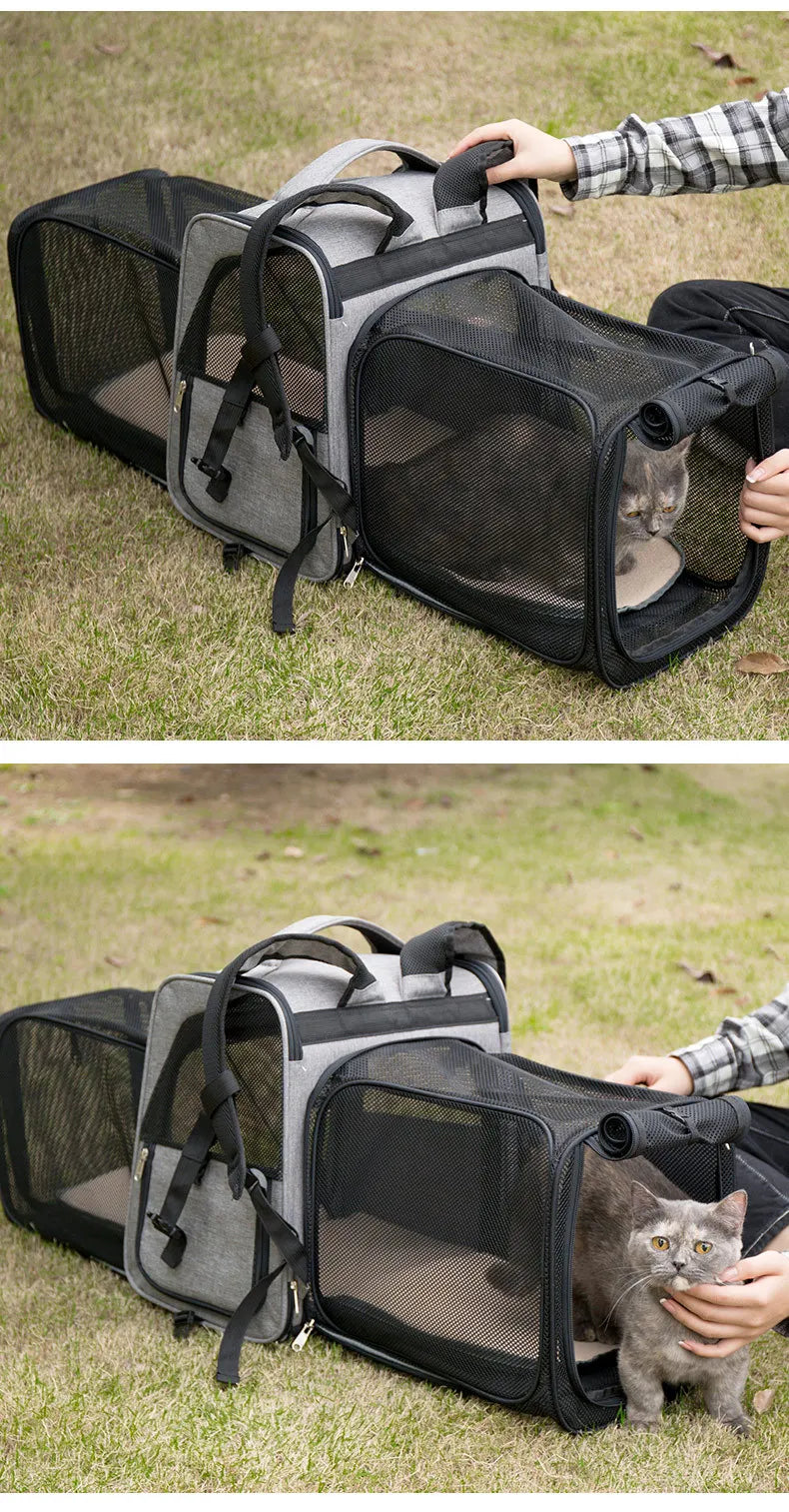 Cat Carrying Bags Breathable Pet Outgoing Travel Backpack Expandable Puppy Kitten Carriers Foldable Cats Large Capacity Bag