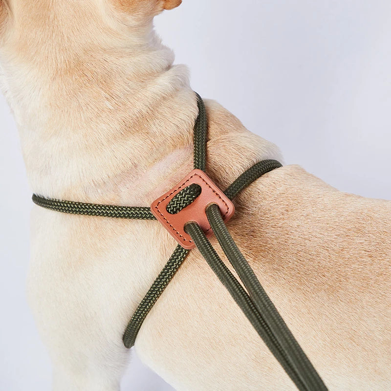 Nylon Dog Collar Leashes All-in-one Harnesses Explosion Chest Strap Adjustable Pet Supplies Dog Walking Rope Accessories