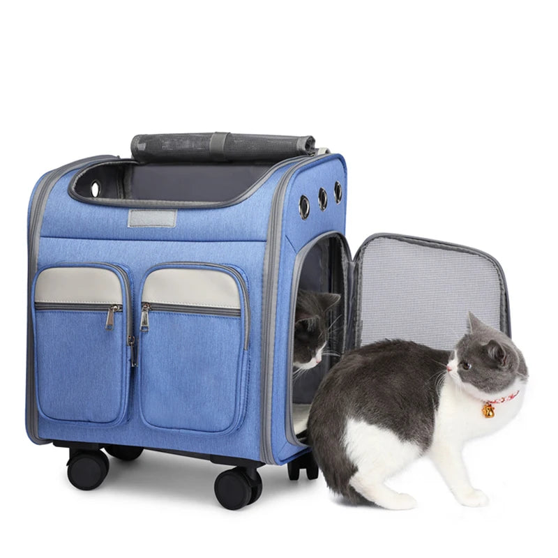 Grand sac à dos 2 en 1 pour animaux de compagnie, poussette pour chat, porte-animaux avec roulettes, Portable, pliable, avec tige de cravate, sac de transport pour chat et chien