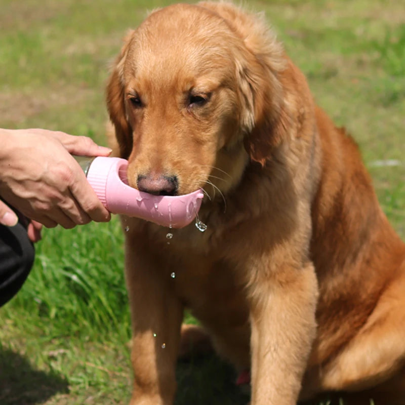 Bouteille d'eau Portable 2 en 1 pour petits et grands chiens, bols à boire pour la marche en plein air, mangeoire pour animal domestique, fournitures pour chiots, Chihuahua