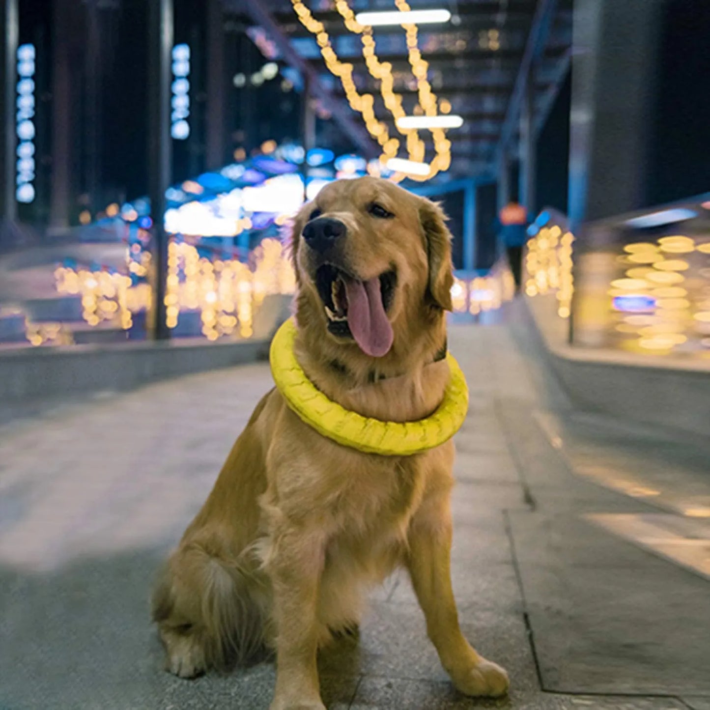 Discos voladores para mascotas, anillo de entrenamiento, extractor, juguetes para perros grandes, resistente a mordeduras, pelota para masticar, juguete flotante para cachorros, suministro interactivo