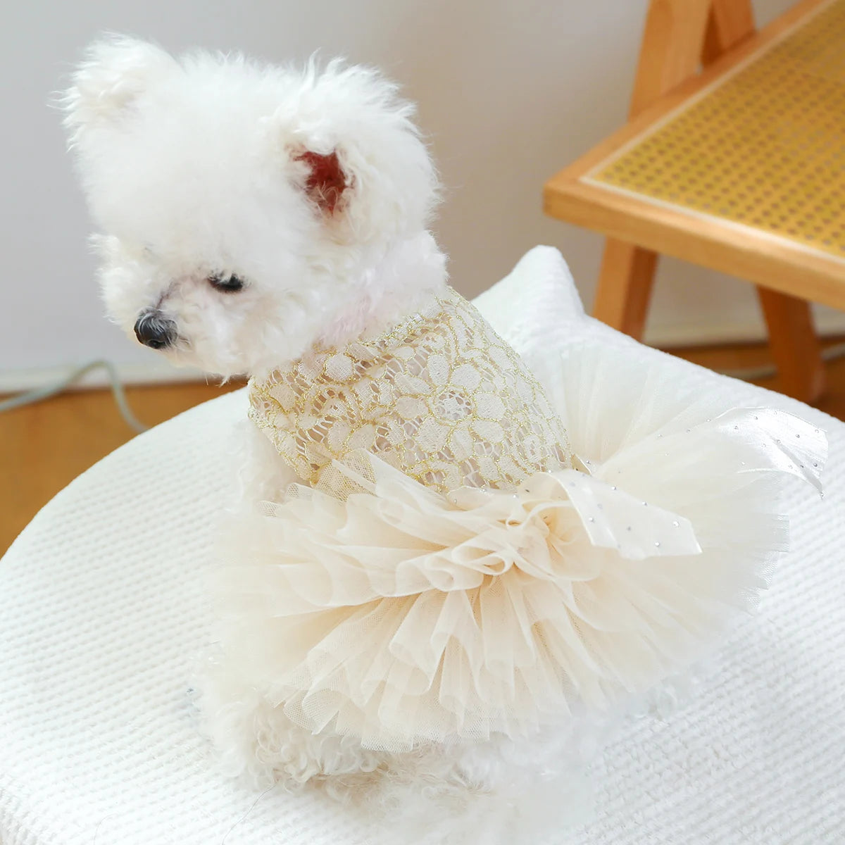 Ropa para mascotas, vestido de boda blanco para primavera/verano, falda Pengpeng de palacio de lujo, vestido chino para perros pequeños y medianos, 1 ud.