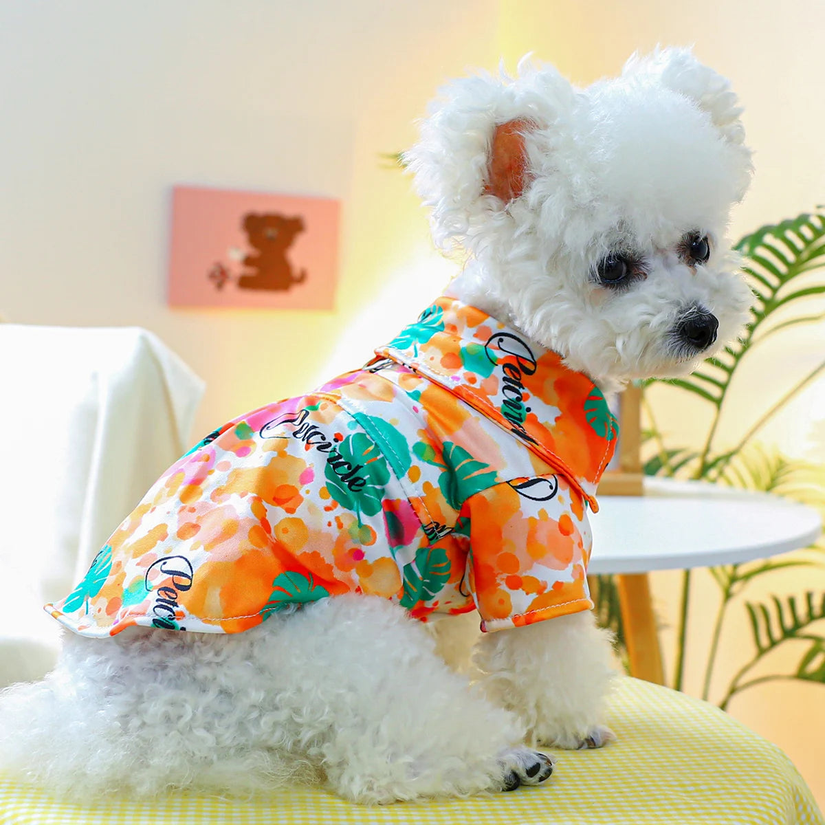 1PC Pet Apparel Dog Cat Spring Autumn Summer Thin Color Bubble Shirt Orange Pajamas With Drawstring Buckle For Small Medium Dogs