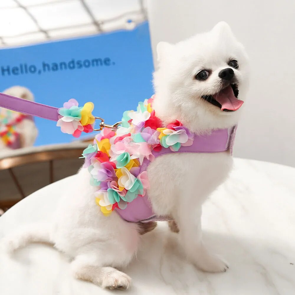 Conjunto de arnés y correa para perros de niña de flores de lujo, sin tirones, malla transpirable suave y ajustable, chaleco de seguridad para mascotas con flores lindas para cachorros, accesorios de arnés