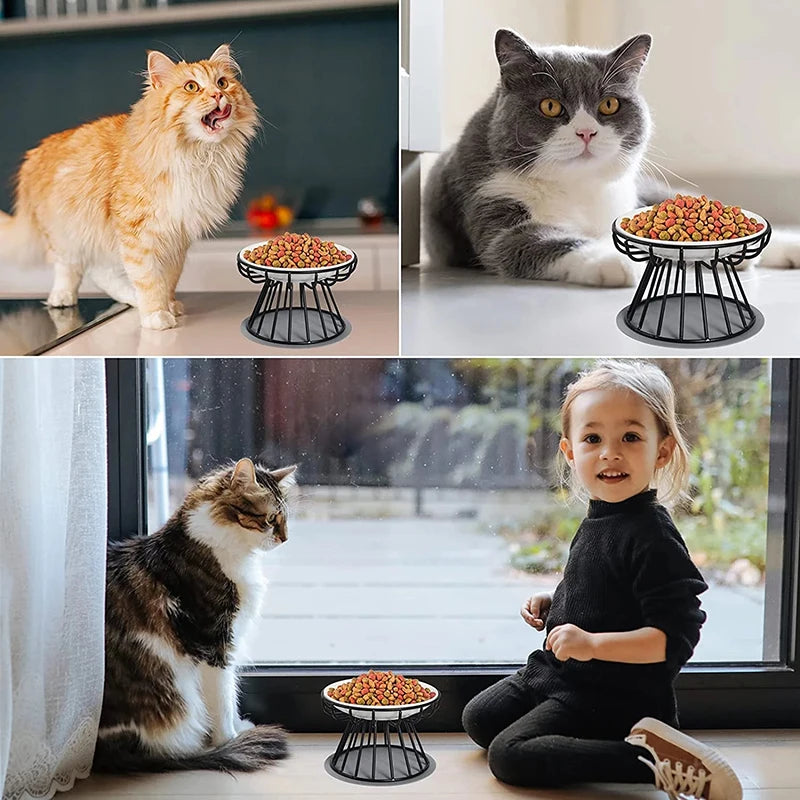 Bol élévateur pour chat avec support en métal, collations en céramique pour animaux de compagnie, mangeoire surélevée pour chaton, chiot, fournitures pour chiens, accessoires