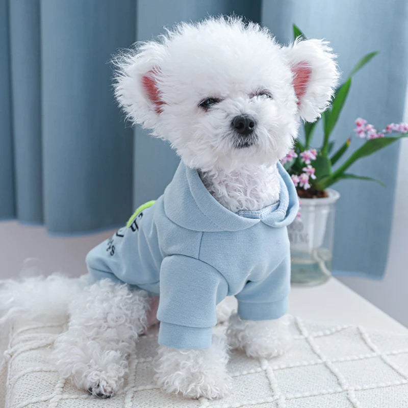 Vêtements pour animaux de compagnie, 1 pièce, sweat à capuche épais, chaud et confortable, bleu Love Earth, pour chiens de petite et moyenne taille, printemps et automne