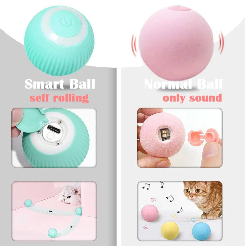 Jouet à roulement automatique pour chat, jouet d'entraînement pour chaton autopropulsé, jeu interactif d'intérieur, boule électrique intelligente, fournitures de jouets