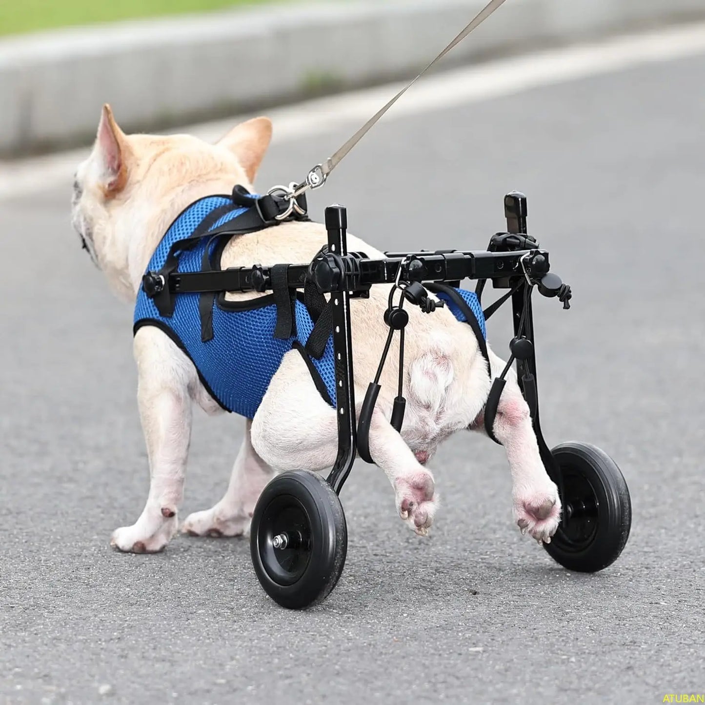 ATUBAN Fauteuil roulant pour petit chien, fauteuils roulants réglables pour chiens, aides à la mobilité pour animaux handicapés, convient aux animaux pesant de 8 à 20 livres