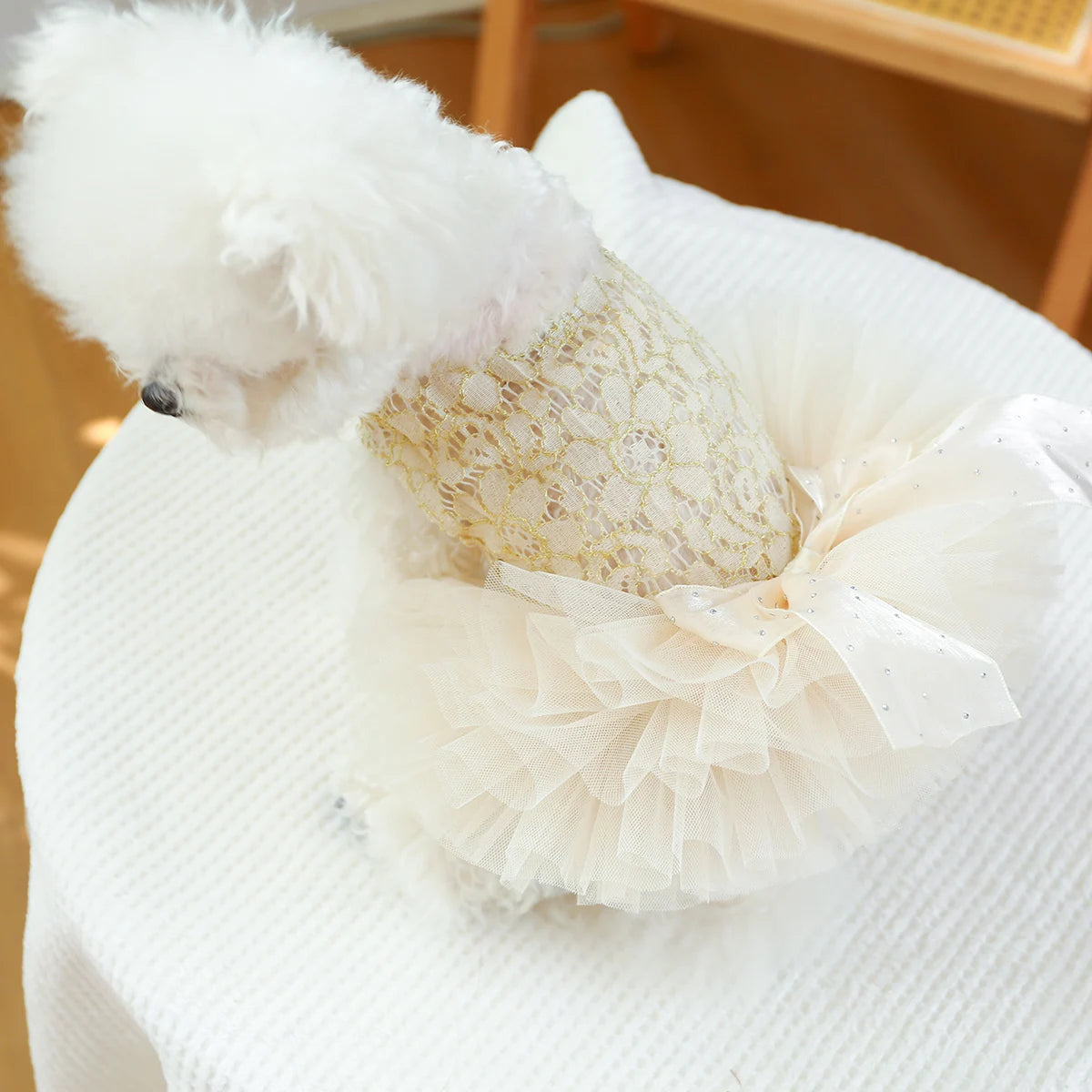 Ropa para mascotas, vestido de boda blanco para primavera/verano, falda Pengpeng de palacio de lujo, vestido chino para perros pequeños y medianos, 1 ud.