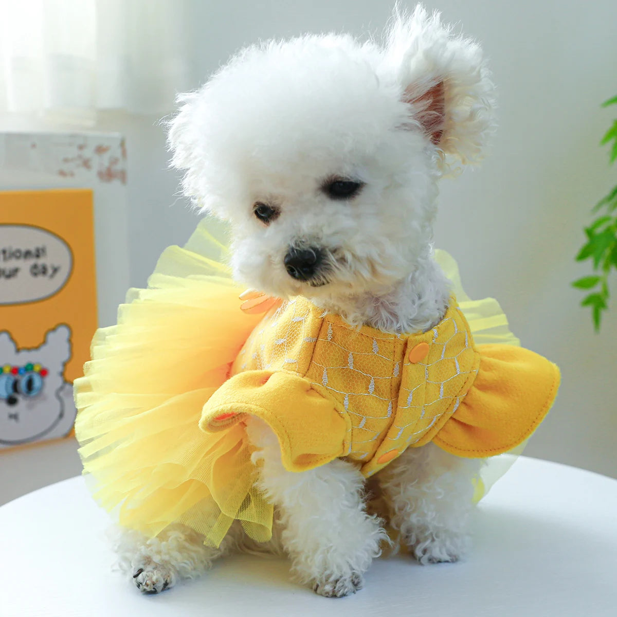 Vêtements pour animaux de compagnie, 1 pièce, automne et hiver, jaune, manches volantes, robe de princesse avec nœud, avec boucle à cordon, pour petits et moyens chiens