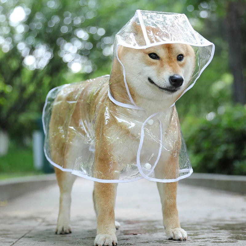 Chubasquero transparente para perro y cachorro, chaqueta impermeable con capucha para mascota, ropa suave de PVC, chubasquero para perros pequeños, Poncho de lluvia para cachorro