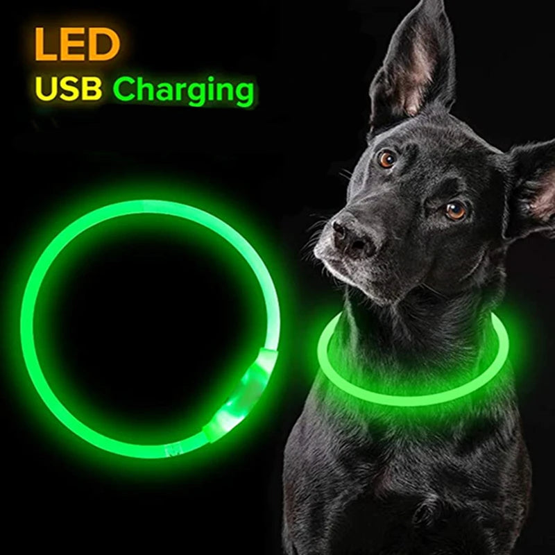 Collier Led lumineux pour chien et chat, Usb, 3 Modes, lumière Led brillante, prévention des pertes, collier LED pour chiens, accessoires pour animaux de compagnie