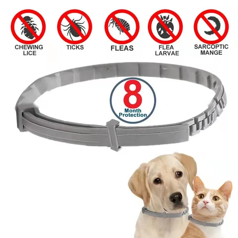 Colliers anti-puces et tiques pour chien, collier réglable de Protection pour animaux de compagnie de 8 mois pour grand chien, chiot, chat, accessoires pour chiens