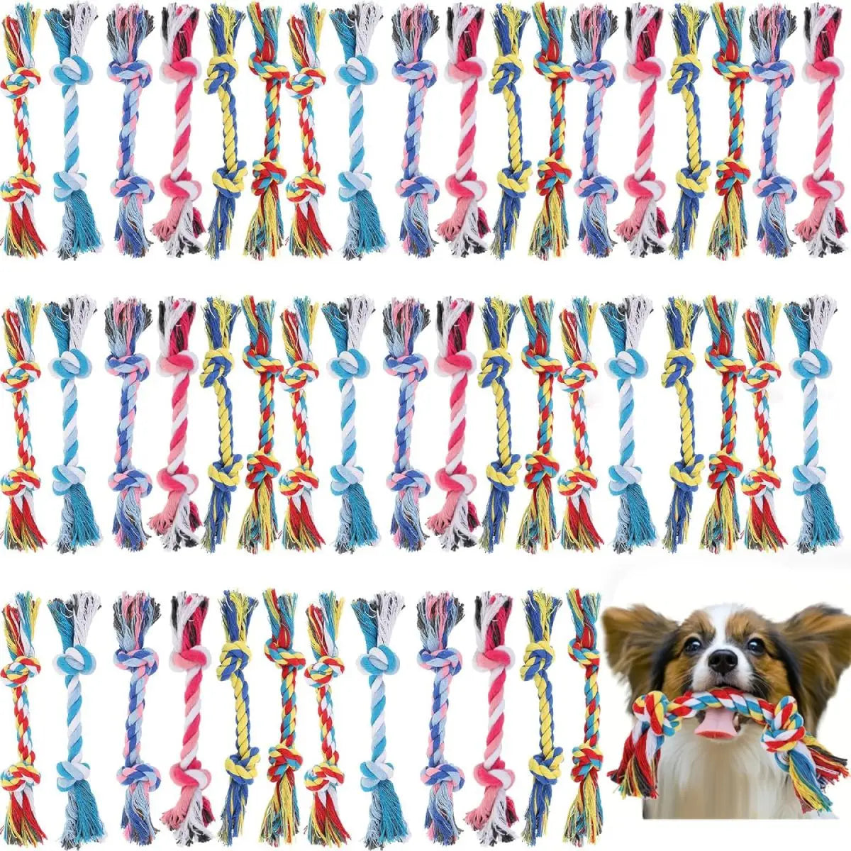 Jouet pour chien, 20 pièces, corde en coton résistante aux morsures molaires pour animaux de compagnie, nœud pour chien, chiot, soulage les dents encombrées, nettoyage des dents, jouets à mâcher pour animaux de compagnie, couleur aléatoire