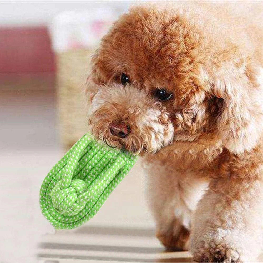 1pcs Dog Rope Toy Assorted Pet Rope Chew Toys Durable Rope Knot Dog Toy Puppy Teething Playing Toys for Small Dogs Puppies