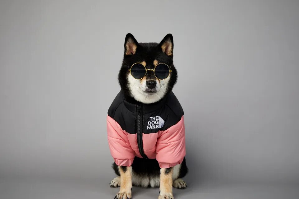 Chaqueta de invierno con cara de perro para perros pequeños y medianos, chaleco grueso y cálido para perros, abrigo para cachorros de Bulldog Francés, estilo de moda