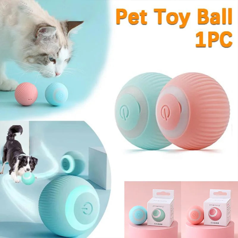 Jouet à roulement automatique pour chat, jouet d'entraînement pour chaton autopropulsé, jeu interactif d'intérieur, boule électrique intelligente, fournitures de jouets