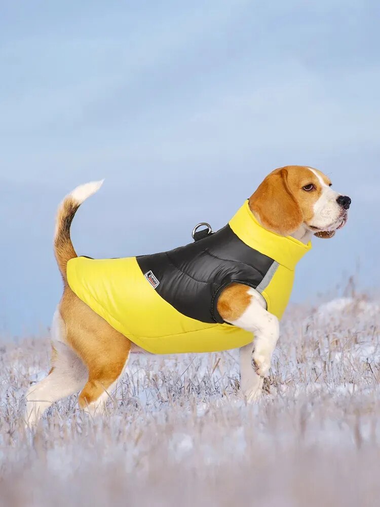 Ropa cálida de invierno para perros de compañía, chaleco para mascotas, chaqueta con cremallera, abrigos impermeables para perros pequeños, medianos y grandes, Bulldog Francés, Labrador