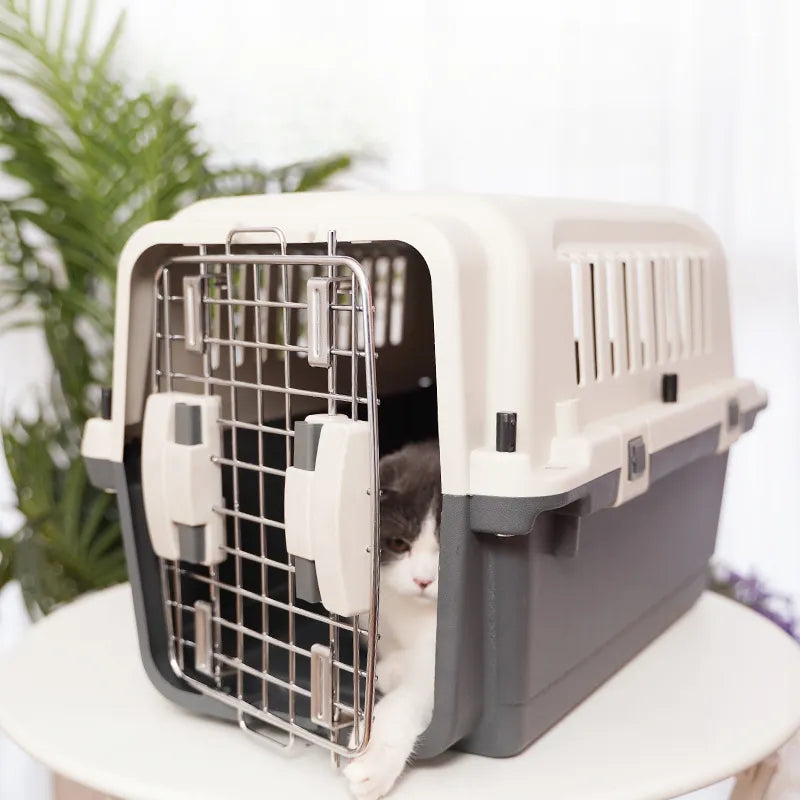 Accessories Plastics Dog Carriers Small Puppy Outdoor Walking Travel Dog Carriers Transport Kennel Sac Chien Pet Supplies