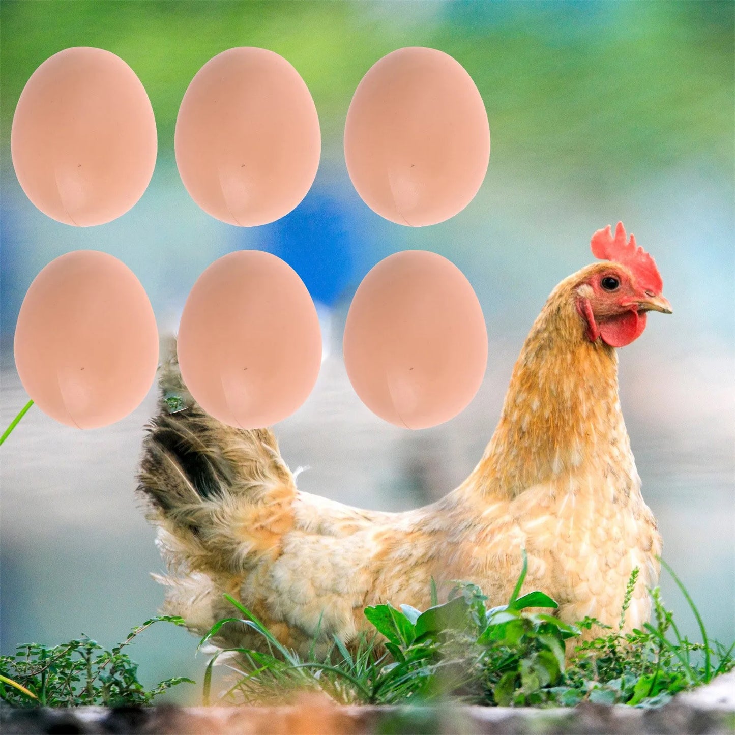 6/12PCS Hatching Egg Easter Hen Poultry Hatch Breeding Simulation Fake Plastic Artificial Eggs DIY Painting Egg Educational Toys