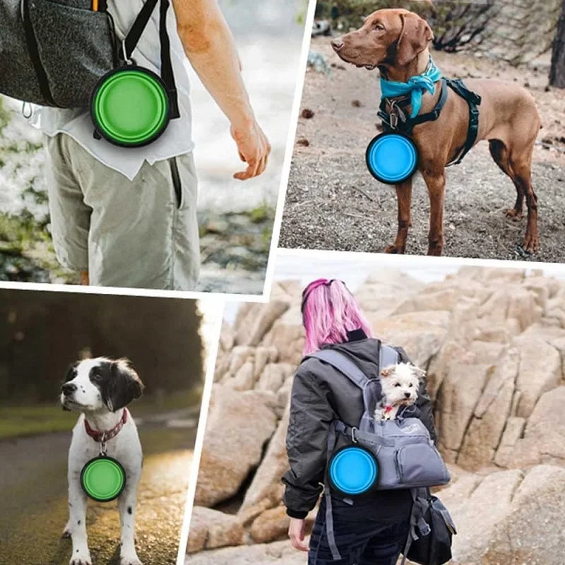 Bol pliable en Silicone pour animaux de compagnie, bol de nourriture pliable pour chien, eau, grand bol de voyage pour animaux de compagnie en plein air, conteneur de nourriture Portable pour chiot