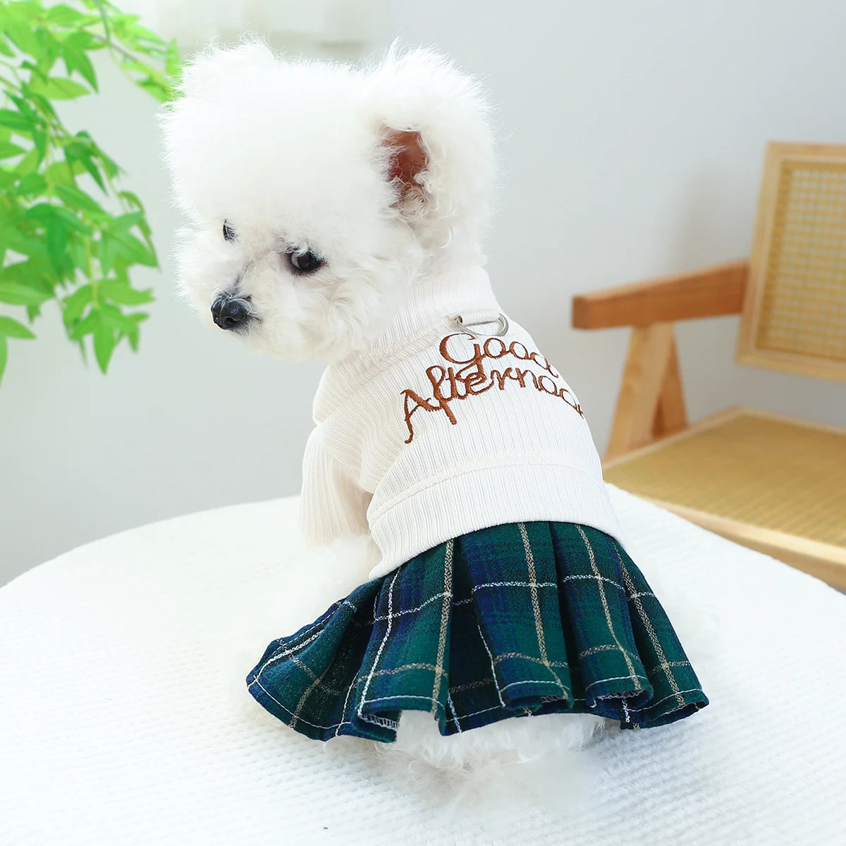 1PC Pet Apparel Dog Spring and Autumn Knitted Pleated Dress Princess Dress Belt Pulling Rope Buckle For Small Medium Dogs