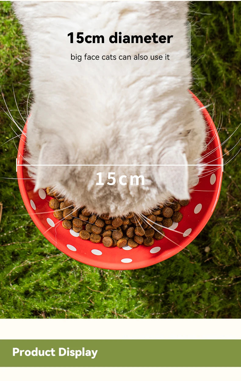 Bol en céramique surélevé pour chat, mignon, nourriture pour animaux de compagnie, mangeoires d'eau, petits chiens élevés, boire et manger